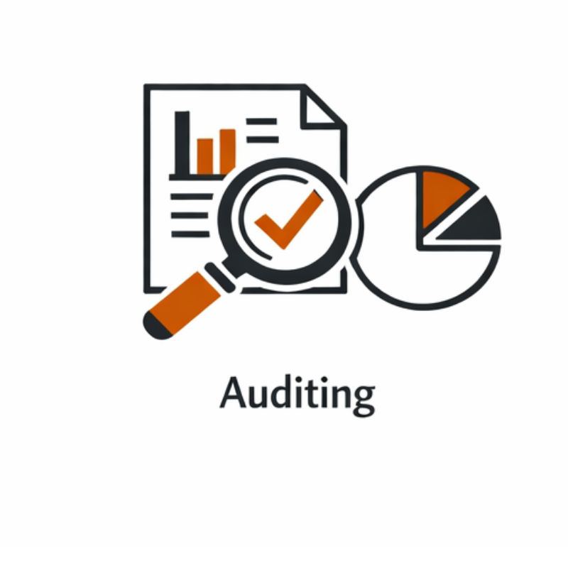 Auditing